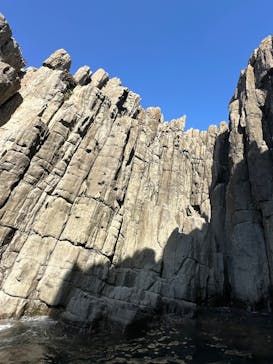 東尋坊観光遊覧船株式会社に投稿された画像（2025/9/6）