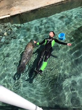 下田海中水族館に投稿された画像（2025/9/6）