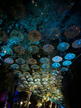 ムーミンバレーパークに投稿された画像（2025/9/6）