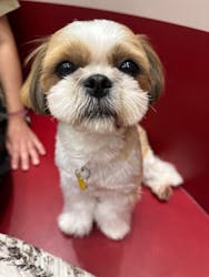 いぬカフェRio ゆめタウン佐賀店に投稿された画像（2025/9/6）