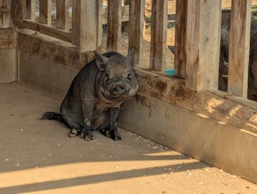 成田ゆめ牧場に投稿された画像（2025/9/6）