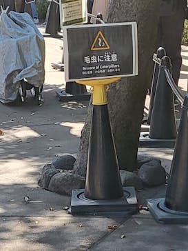 恩賜上野動物園に投稿された画像（2025/9/6）