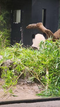 恩賜上野動物園に投稿された画像（2025/9/6）