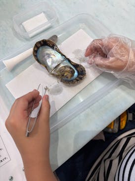 越前松島水族館に投稿された画像（2025/9/6）