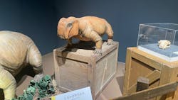 大恐竜展に投稿された画像（2025/9/6）