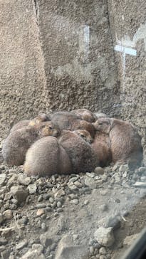 那須どうぶつ王国に投稿された画像（2025/9/6）