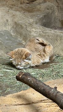 那須どうぶつ王国に投稿された画像（2025/9/6）