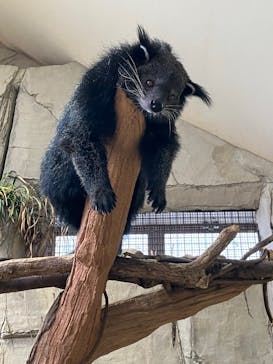 那須どうぶつ王国に投稿された画像（2025/9/6）