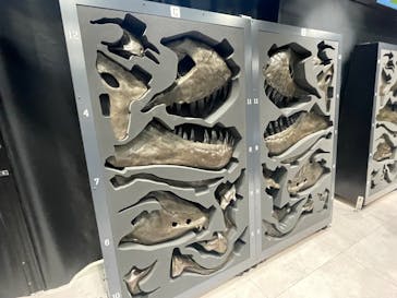 福井県立恐竜博物館に投稿された画像（2025/9/6）