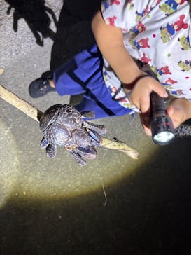 マーレ石垣島に投稿された画像（2025/9/6）