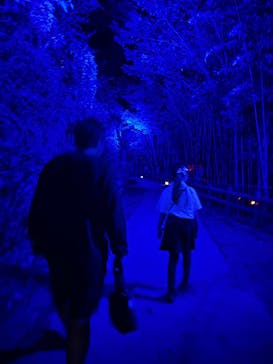 ニジゲンノモリに投稿された画像（2025/9/6）