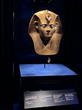 ACN ラムセス大王展 ファラオたちの黄金に投稿された画像（2025/9/6）