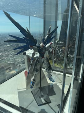 ハルカス300(展望台)に投稿された画像（2025/9/6）