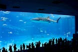 沖縄美ら海水族館に投稿された画像（2025/9/6）