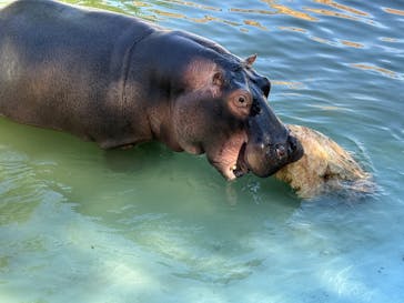 東武動物公園に投稿された画像（2025/9/6）
