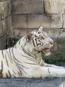 東武動物公園に投稿された画像（2025/9/6）
