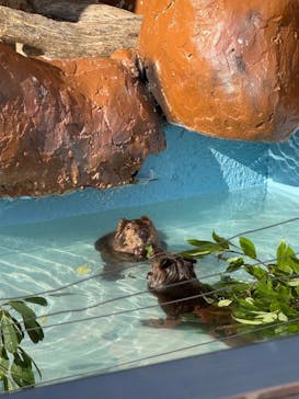 東武動物公園に投稿された画像（2025/9/6）