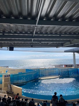 新江ノ島水族館に投稿された画像（2025/9/6）