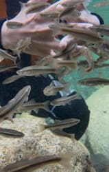 OTHER SIDEに投稿された画像（2025/9/6）