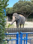 千葉市動物公園に投稿された画像（2025/9/7）