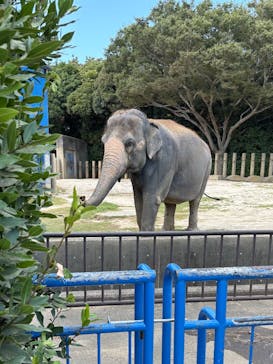 千葉市動物公園に投稿された画像（2025/9/6）
