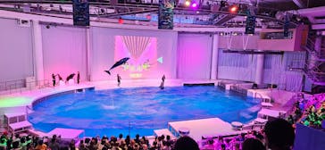 アクアワールド茨城県大洗水族館に投稿された画像（2025/9/7）