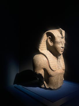 ACN ラムセス大王展 ファラオたちの黄金に投稿された画像（2025/9/7）