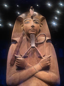 ACN ラムセス大王展 ファラオたちの黄金に投稿された画像（2025/9/7）