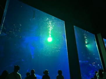 マリンワールド海の中道に投稿された画像（2025/9/7）