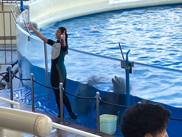 マリンワールド海の中道に投稿された画像（2025/9/7）