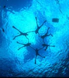 青の洞窟専門店　沖縄ダイビングショップ和に投稿された画像（2025/9/7）