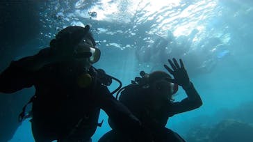 武藤潜水に投稿された画像（2025/9/7）