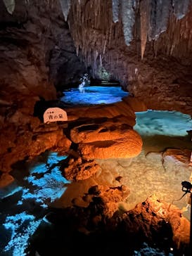 おきなわワールドに投稿された画像（2025/9/7）