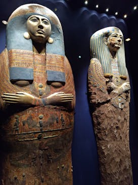 ACN ラムセス大王展 ファラオたちの黄金に投稿された画像（2025/9/7）