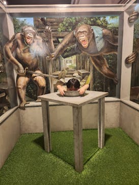 横浜トリックアート迷宮館に投稿された画像（2025/9/7）