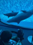名古屋港水族館に投稿された画像（2025/9/7）