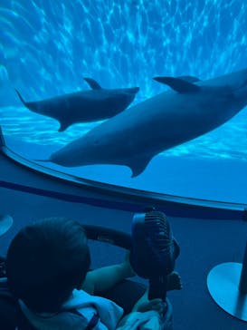 名古屋港水族館に投稿された画像（2025/9/7）