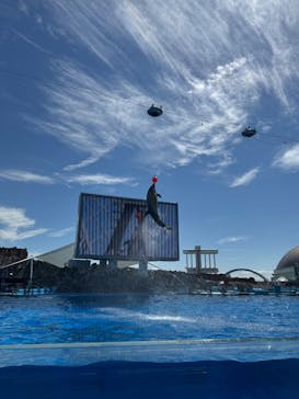 名古屋港水族館に投稿された画像（2025/9/7）
