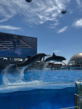 名古屋港水族館に投稿された画像（2025/9/7）