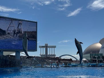 名古屋港水族館に投稿された画像（2025/9/7）