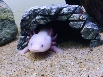 サンシャイン水族館に投稿された画像（2025/9/7）