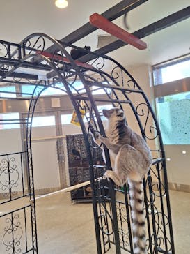 アニタッチみなとみらいに投稿された画像（2025/9/7）