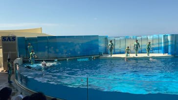 新江ノ島水族館に投稿された画像（2025/9/7）