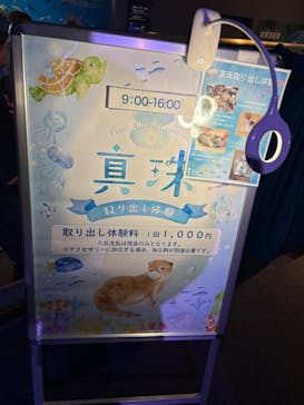 新江ノ島水族館に投稿された画像（2025/9/7）