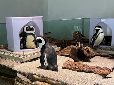 NIFREL（ニフレル）に投稿された画像（2025/9/7）