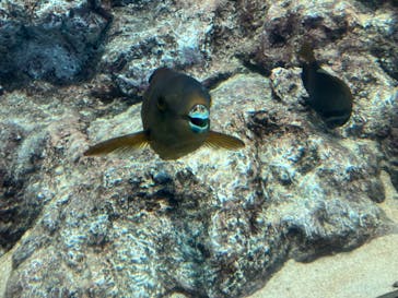 葛西臨海水族園に投稿された画像（2025/9/7）