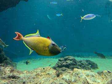 葛西臨海水族園に投稿された画像（2025/9/7）
