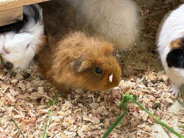 アニタッチ 東京ドームシティに投稿された画像（2025/9/7）