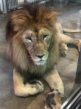 天王寺動物園に投稿された画像（2025/9/7）