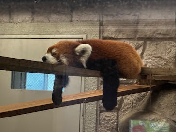 天王寺動物園に投稿された画像（2025/9/7）